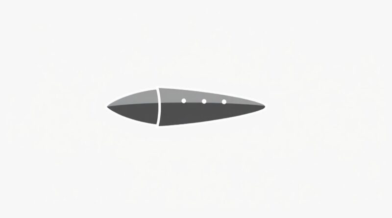 What Is A Frangible Round