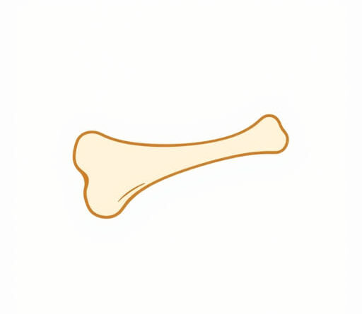 How Much is Bone Marrow Food