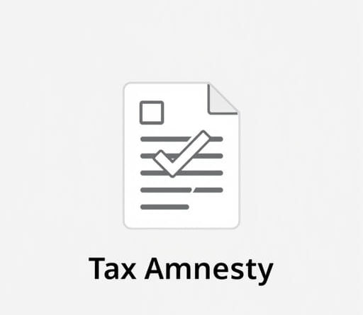 How to Apply for Tax Amnesty