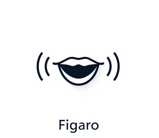 How to Pronounce Figaro