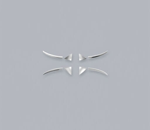 is silvery barbs broken