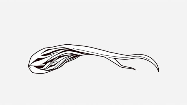 MHW Hard Odogaron Sinew