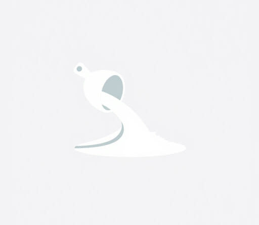 Nido Nonfat Milk Powder