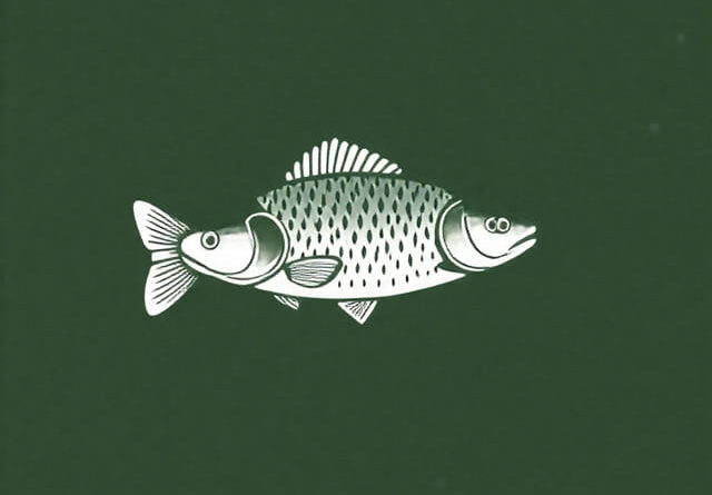 Once Human Bighead Carp