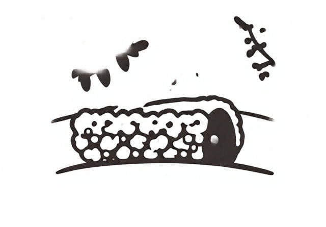 Orchard Hedger for Sale