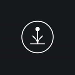 Believably In A Short Sentence