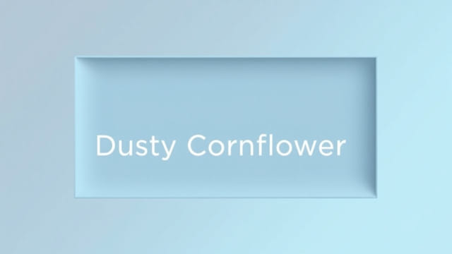 Benjamin Moore Dusty Cornflower