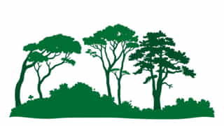 Big Thicket National Preserve