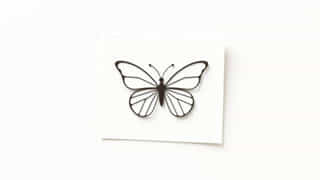 Butterfly Gummed Paper Squares