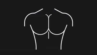 Centre Of Torso Crossword Clue