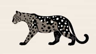 Characteristics Of Amur Leopard