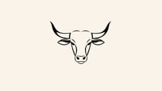 Chinese Zodiac Ox Personality