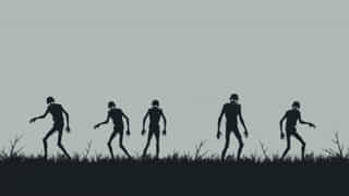 Demented Echo Cold War Zombies