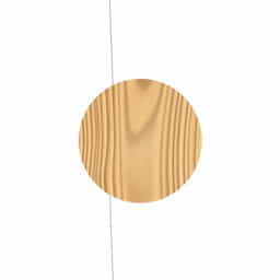 How Long Does Charred Wood Last