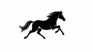 Jeu De Cheval Hobart Horseplay