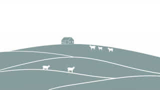 Kingston Smallholding Goat Farm