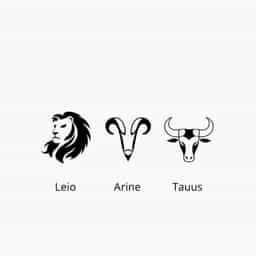 Most Egotistical Zodiac Signs