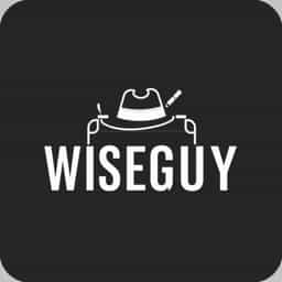 Nicholas Pileggi'S Book Wiseguy