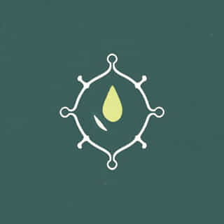 Organic Syntheses Impact Factor