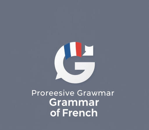 Progressive Grammar Of French