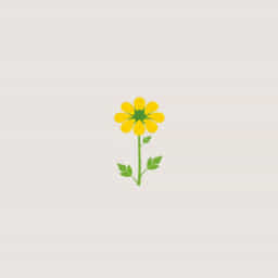 Why Is Rapeseed Called Rapeseed