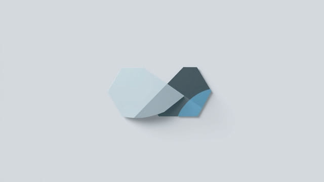 Zone Of Transition Criminology