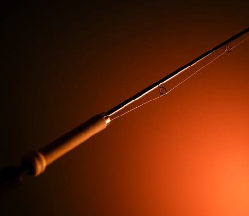 Abu Garcia Fantasista X Casting Rod Review