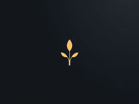 Delicate Synonyms In English