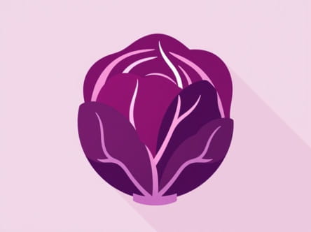 Is Radicchio Red Cabbage