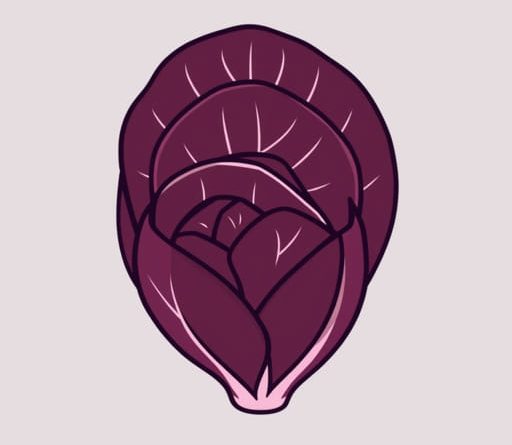 Is Radicchio The Same As Red Cabbage?