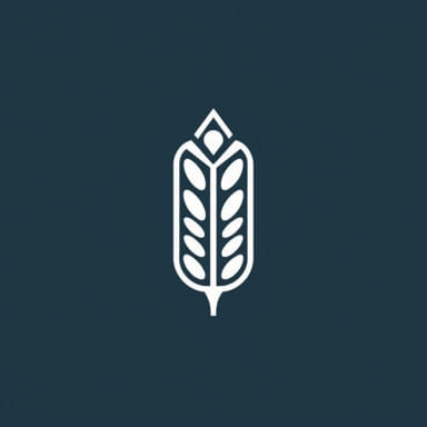 Semolina Ou Farinha De Trigo