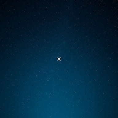 Starfield: What To Do With Contraband