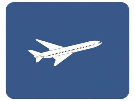 The Hijacking Of Flight 601