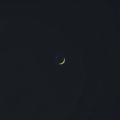 The Meaning Of Damage