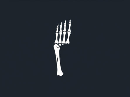 Ulna Is Medial Or Lateral