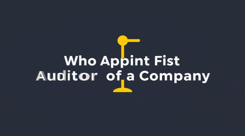 Who Appoint First Auditor Of A Company