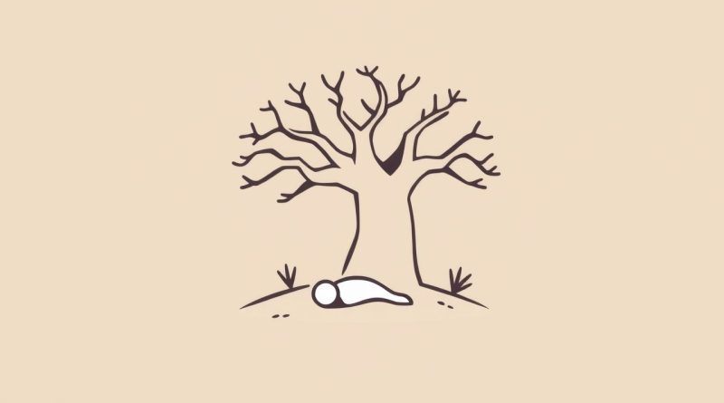 Bungo Stray Dogs Anime