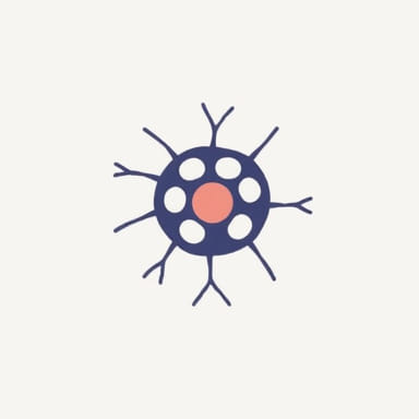 Family Doctor Vs Internist