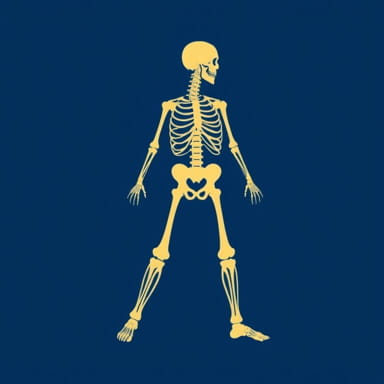 How To Read An Isobar Map