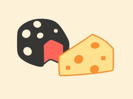 Is Burlington In Vermont