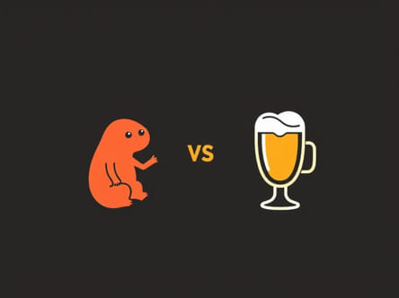 Joe Browns So Sophisticated Coat