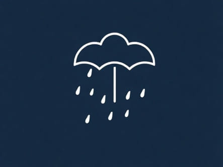 Mackenzie Childs Rosy Check