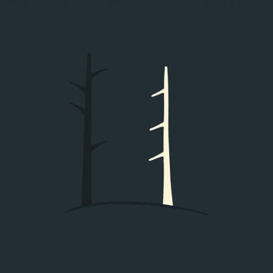 Msa Full Brim Hard Hat