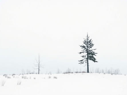 Nick Cave Breathless Chords