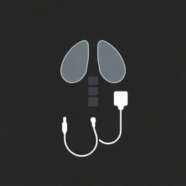 Palace Cinema Byron Bay