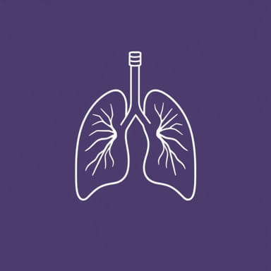 Phoebe Tonkin And Cariba Heine