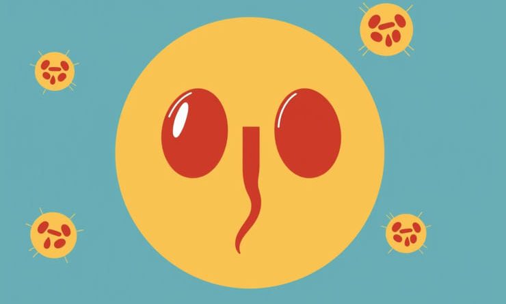 Poshmark Frye Campus Boots