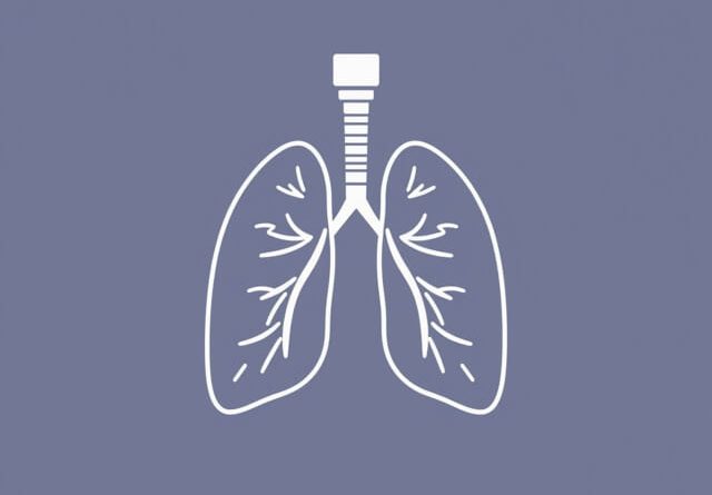 Quakertown Church Of The Brethren