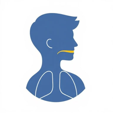 Sociology Is A Categorical And Not A Normative Discipline