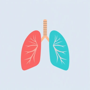 Spare The Rod Spoil The Child Kjv